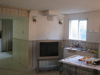 Basement in the detached house