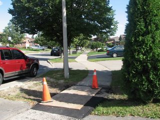 Brampton is occupied by Indian emigrants